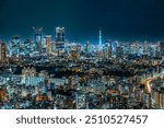 Tokyo city night view, capital of Japan