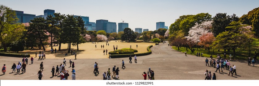 Tokyo City Park, Sunny Afternoon In A Busy City, Crowded Area