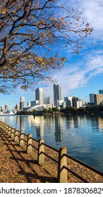 Tokyo City Scape Autumn Season