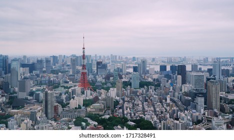 Tokyo City Skyview With Tokyo Tower In Sight