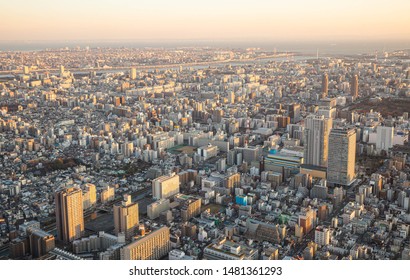 Tokyo city view at dusk