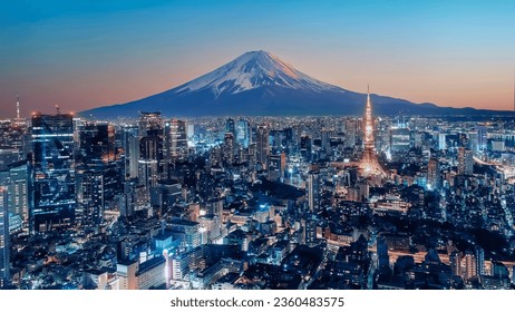 Tokyo City viewed from high up at sunset, Japan
