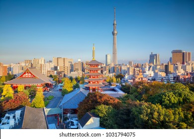 Tokyo. Cityscape Image Of Tokyo Skyline During Autumn Sunset In Japan.