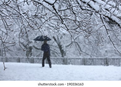 Tokyo Downtown Snow Scene