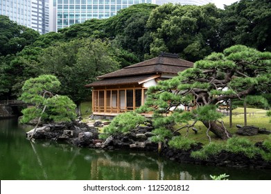 Tokyo Hama Rikyu  Garden 