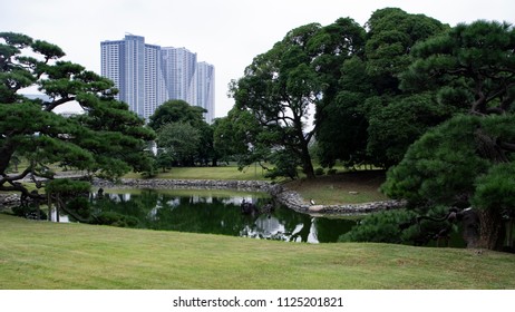 Tokyo Hama Rikyu  Garden 