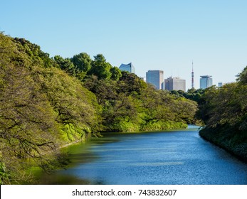 Tokyo Imperial Palace
