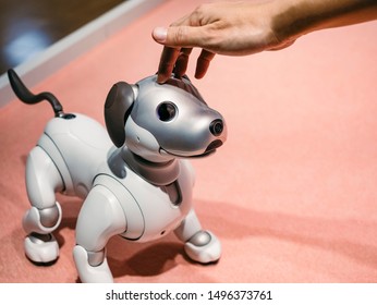 TOKYO, JAPAN - APR 14, 2019 : Aibo Robotic pets designed and manufactured by Sony Humanoid robot interaction with people - Shutterstock ID 1496373761