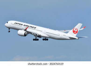 1 1件の Jal 飛行機 の画像 写真素材 ベクター画像 Shutterstock