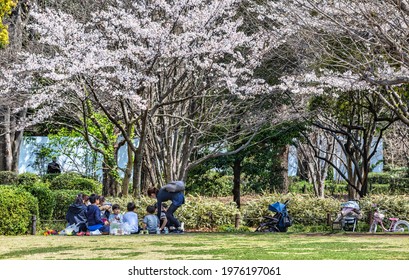 Tokyo, Japan, April 2020 - People Having Hanami Picnic During Cherry Blossom Season.