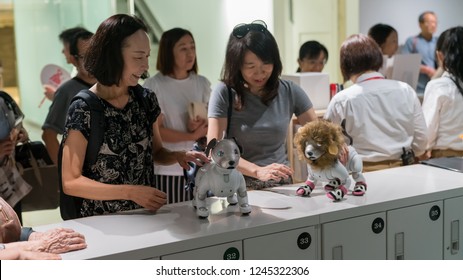 160 Aibo Stock Photos, Images & Photography | Shutterstock