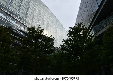 Tokyo, Japan - August 27, 2019: The Tokyo International Forum Exhibition Center, Designed By Rafael Viñoly.