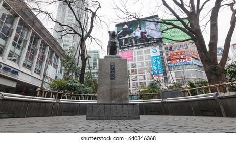 TOKYO, JAPAN - CIRCA MARCH, 2017: Hachiko Dog Statue. Hachiko Was Remembered For His Remarkable Loyalty To His Owner Which Continued For Many Years After His Owner's Death. Time Lapse Footage. 