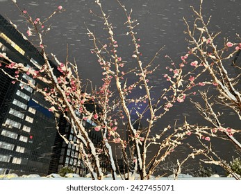 Tokyo, Japan - December 29 2024: Panorama of Megalopolis in Japan during Christmas holidays - Powered by Shutterstock - Get 15% off with code: PIKWIZARD15