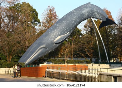 Tokyo, Japan - December 30, 2014: Reproduction Of Blue Whale In Ueno Park, Tokyo. Two Women Take Pictures Of Thr Blue Whale In Full Size, Settled Close To National Museum Of Nature & Science.