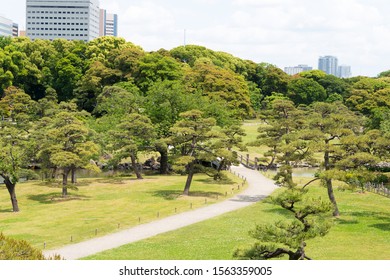 Hamarikyu Tokyo Images Stock Photos Vectors Shutterstock
