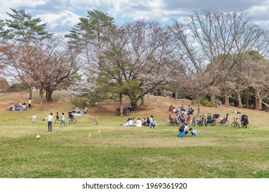 Tokyo, Japan, March 2020 - People Enjoying Hanami Picnic At Yoyogi Park.