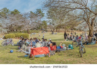 Tokyo, Japan, March 2020 - People Enjoying Hanami Picnic At Yoyogi Park.