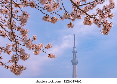 桜 水墨画 Stock Photos Images Photography Shutterstock