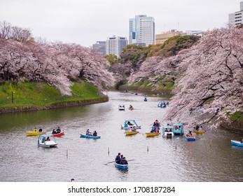 95 Sakura viewing boat ride Images, Stock Photos & Vectors | Shutterstock