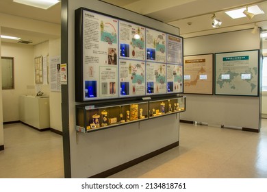 Tokyo, Japan – March 5, 2020 - Interior view of the Meguro Parasitological Museum devoted to parasites and the science of parasitology, seen from outside in the Meguro Ward in central Tokyo