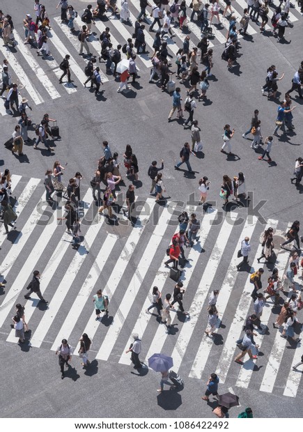 TOKYO, JAPAN - MAY\
5TH, 2018. Aerial view of pedestrian walking  to cross the famous\
Shibuya scramble\
crossing.