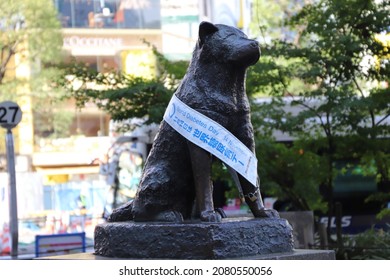 TOKYO, JAPAN -NOVEMBER 19, 2021:  Hachikō Memorial Statue. World Diabetes Day. Shibuya Station.
