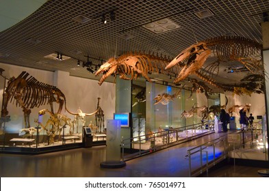 モササウルス Images Stock Photos Vectors Shutterstock