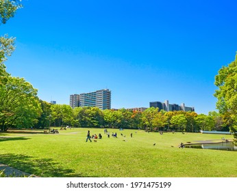 Tokyo, Japan: View of the park near the residential area on sunny day