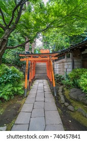 Tokyo - July 27, 2017: Path Of Torii Gates At Hanazono Inari Jinja Shrine Which Enshrines Ukanomitama Deity. Located In Ueno Park, Tokyo