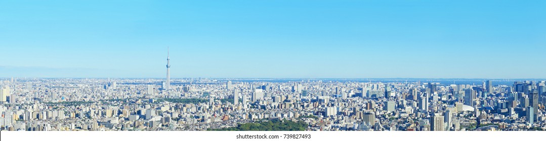 Tokyo Landscape Panorama