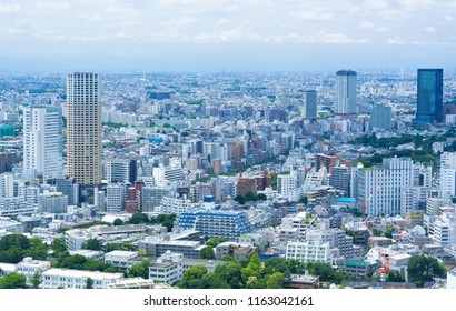 Tokyo Landscape · Shibuya City Bird's Eye View