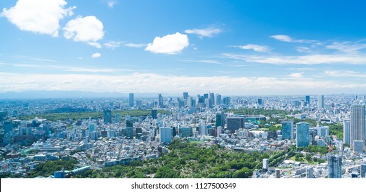 
Tokyo Landscape Wide Early Summer Blue Sky And Green
