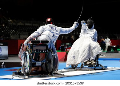 312 Wheelchair Fencing Images, Stock Photos & Vectors | Shutterstock