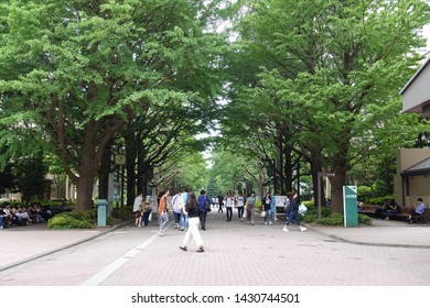 Tokyo, Shibuya / Japan - June 21 2019: Aoyama Gakuin University in Tokyo