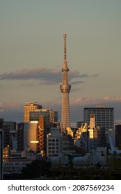 Tokyo Sky Tree Taken From Takeshiba Passenger Ship Terminal