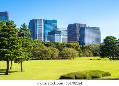 Tokyo Skyline In The Imperial Palace East Gardens, Japan