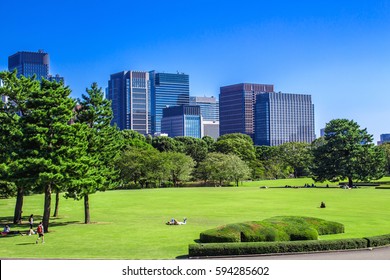 Tokyo Skyline In The Imperial Palace East Gardens, Japan