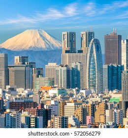 Tokyo skyline and Mountain fuji in Japan