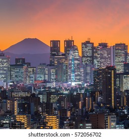 Tokyo Skyline And Mountain Fuji In Japan