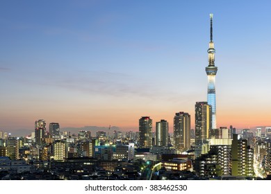 Tokyo Skyline With SkyTree At Night. 