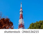 Tokyo tower with blue sky , Landmark of Japan