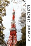 Tokyo tower illuminated by sunlight with trees, branches and blue-sky background, shot on Tokyo, Japan during the day