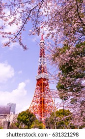 Tokyo Tower With Sakura Foreground In Spring Time At Tokyo