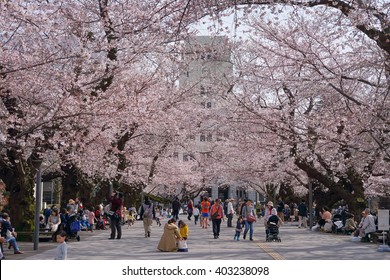 Tokyo Institute Of Technology High Res Stock Images Shutterstock