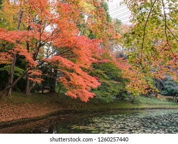 TOKYO,JAPAN-NOV 30: Koishikawa Korakuen Gardens facade on November 30,2018 in Tokyo, Japan.It is designed as the Special Place of Scenic Beauty in Tokyo, a garden full of Chinese tastes and flavor.