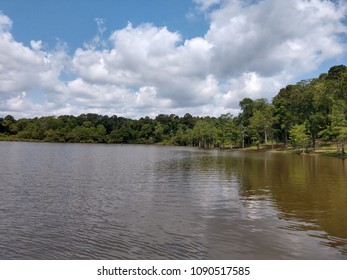 Toledo Bend Lake Swamp Texas