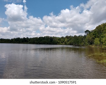 Toledo Bend Lake Swamp Texas