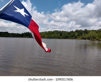 Toledo Bend Lake Swamp Texas