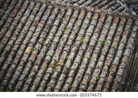 Similar – Image, Stock Photo #A# Roof growth Esthetic